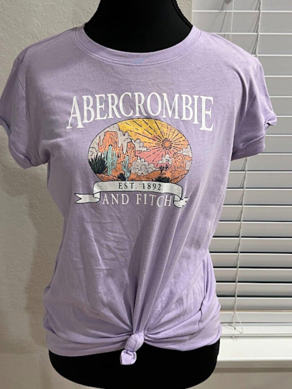 Abercrombie Purple Shirt